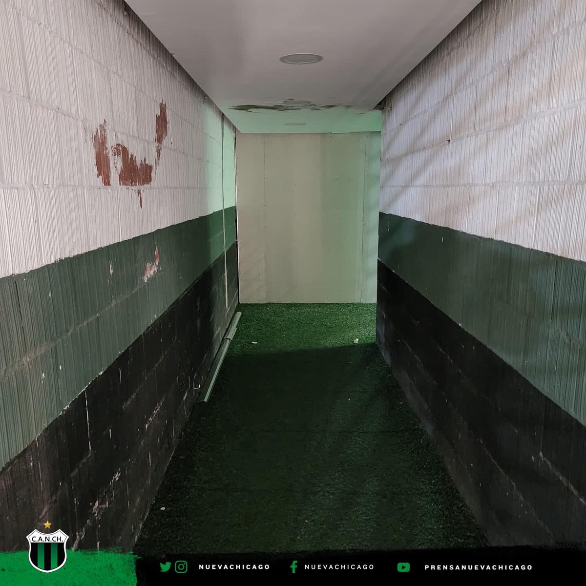 EstadioCANCH's tweet photo. 🤩 [ESTADIO]

🚧 Plan de Obras.

👷🏽 Así luce la remodelación de el túnel del estadio que conecta el vestuario con el campo de juego. https://t.co/EodMx0eUv9