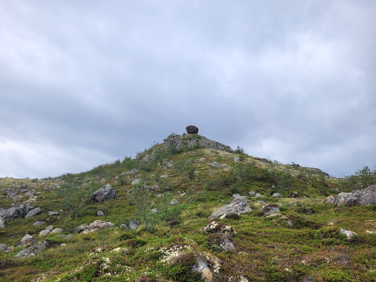 Тэфия tweet media