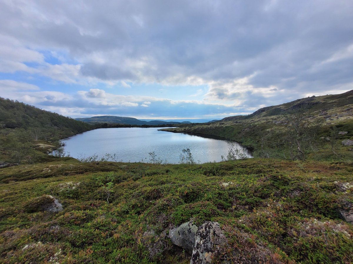 Тэфия tweet media