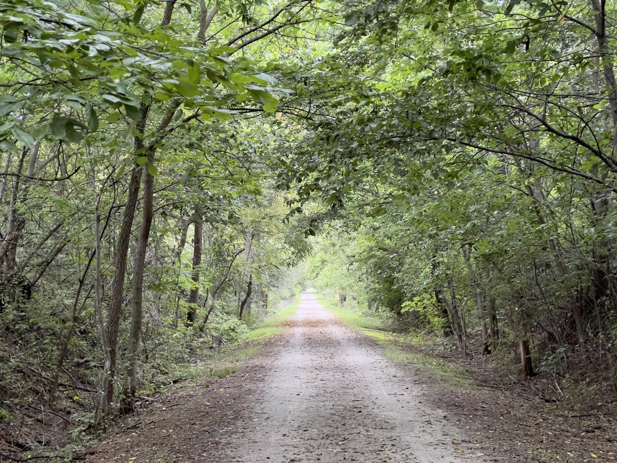 wabashtrace's tweet photo. Northwest of 275th St. @ Cary Ave. #WabashTrace #WabashTraceNatureTrail https://t.co/6uyW2IPaAn
