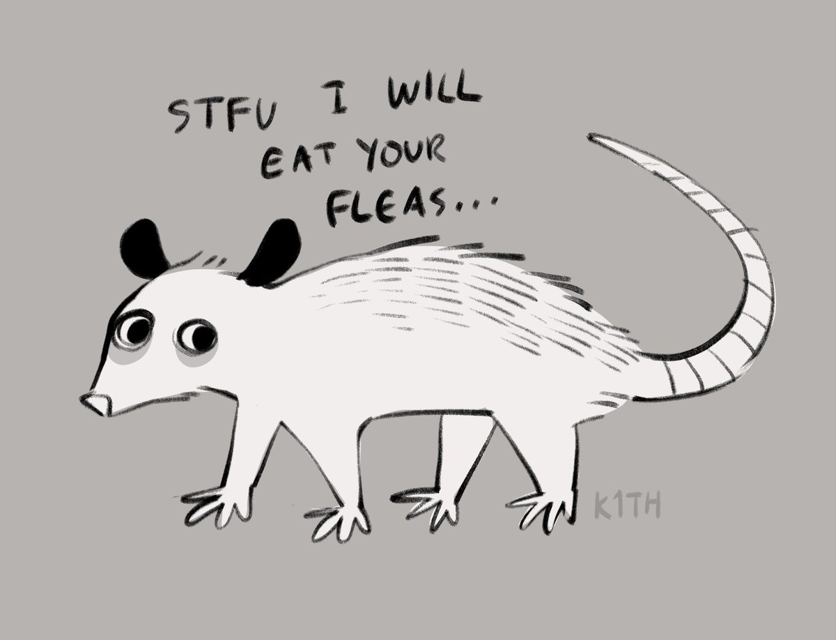 complimentary possum art <3