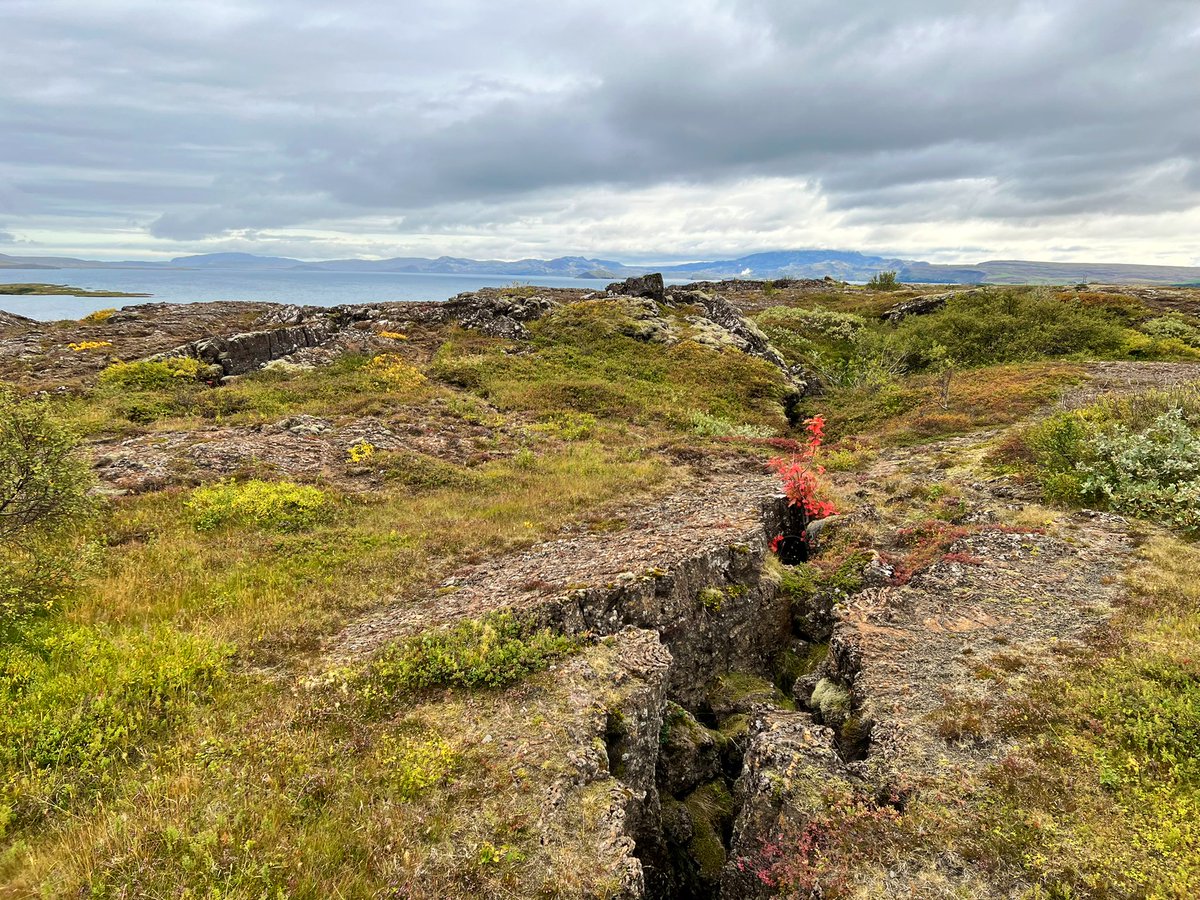 lucyjamesgames's tweet photo. Iceland is just so beautiful https://t.co/vAiZNknScr