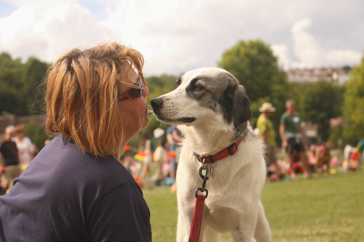 Airhead2's tweet photo. Just a couple of pics from the #PrideDog event at Preston Park today - so many wonderful pooches and their fabulous owners enjoying the sunshine and the competition... https://t.co/nddAi7A75b