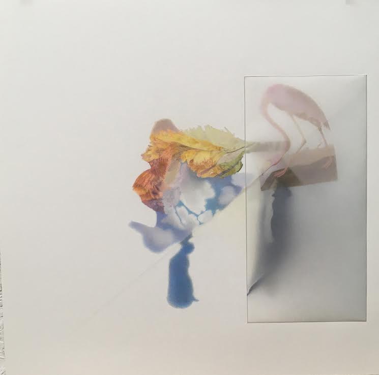 September at Chroma - Light: Illusions, Recent Work by Beverly Ress - mailchi.mp/a9f3e3f52f02/s…