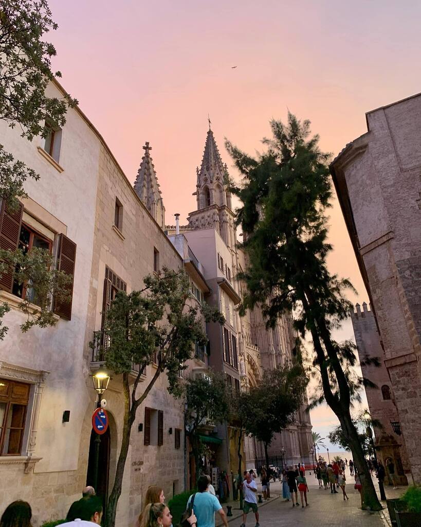 discretedeceit's tweet photo. #palma buildings and stuff https://t.co/QBMhuiowtu https://t.co/7SVfBJCUjG