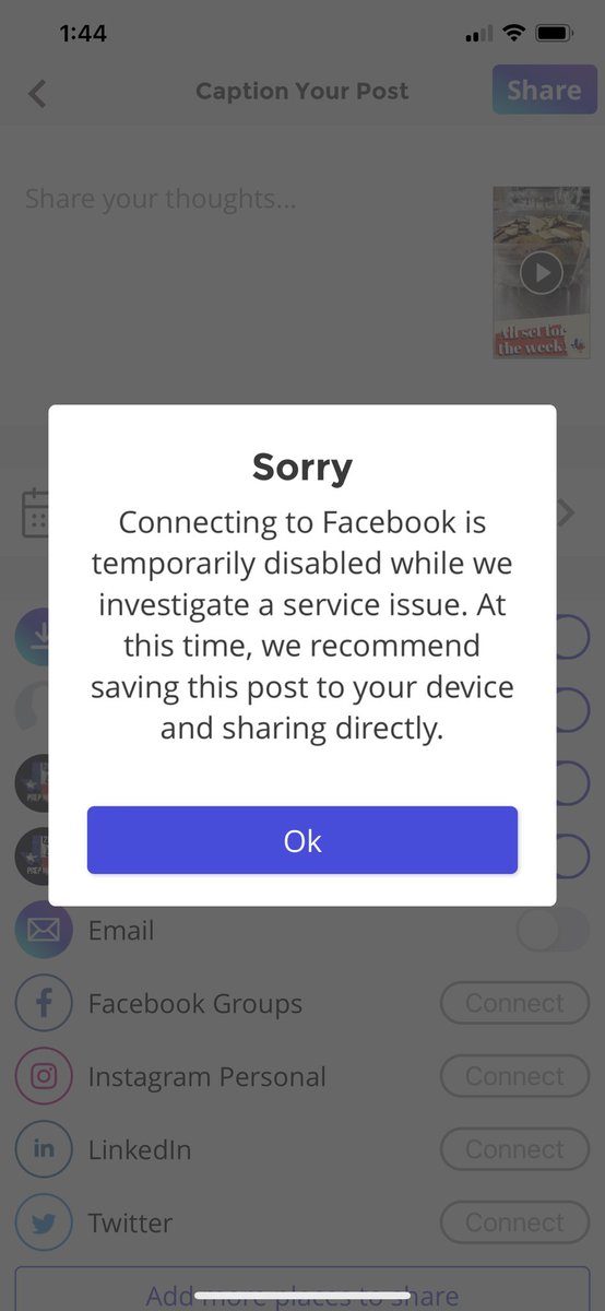 Saint_Can_Sam 🦍 tweet media