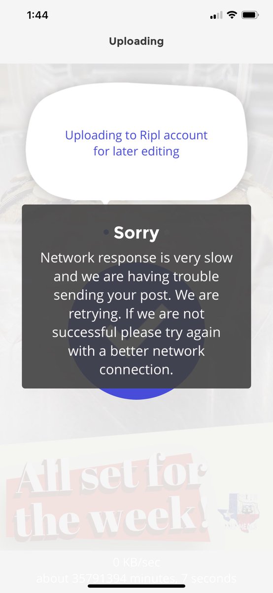 Saint_Can_Sam 🦍 tweet media