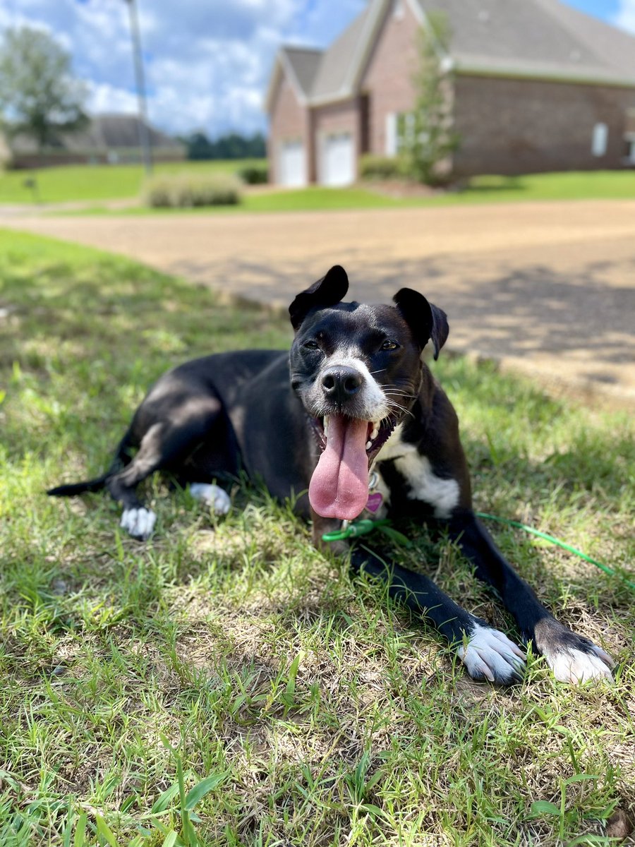 Figure14's tweet image. Sunday Funday ☀️ #MillerGirls @JMiller_Coach