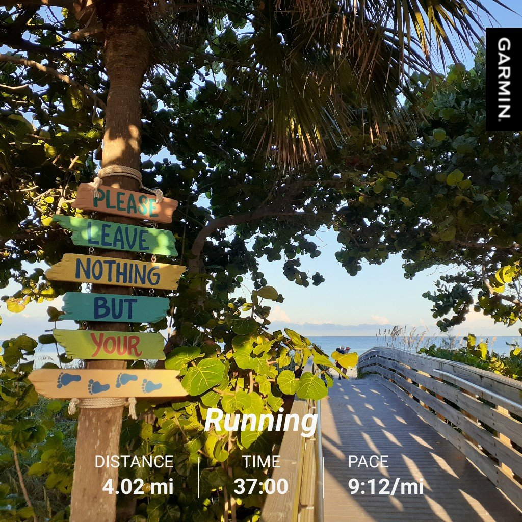 Loyalty2Only's tweet photo. I ran on the beach as dawn broke.

The low sun makes life look golden.

#run #runner #running #irb #4milerun #keeprunning #nofilter #staygolden #distancerunning #distancerunner #carpediem #stayhuman #activelife #activelifestyle #flattenthecurve #beachrun  #indianrocksbeach https://t.co/ffk9pnw4Xs