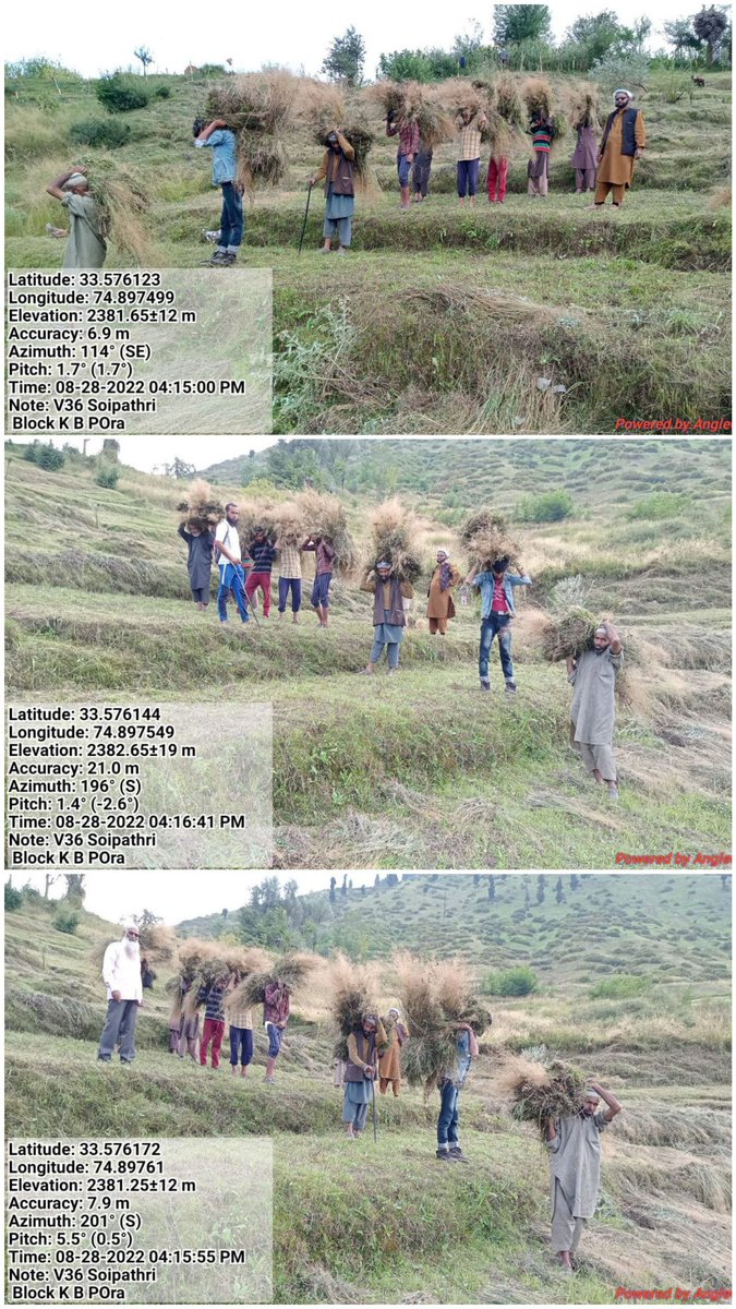 peerzada_riyaz's tweet photo. "FORESTS FOR FODDER"
Continuing under the deliverable "Forests for Fodder" in Forest Compartments V33 and V 36 of Forest Range Veshew - Kulgam Forest Division today 210 Quintals of Green fodder/grass stands distributed among the locals . https://t.co/OuAqfIm6h0