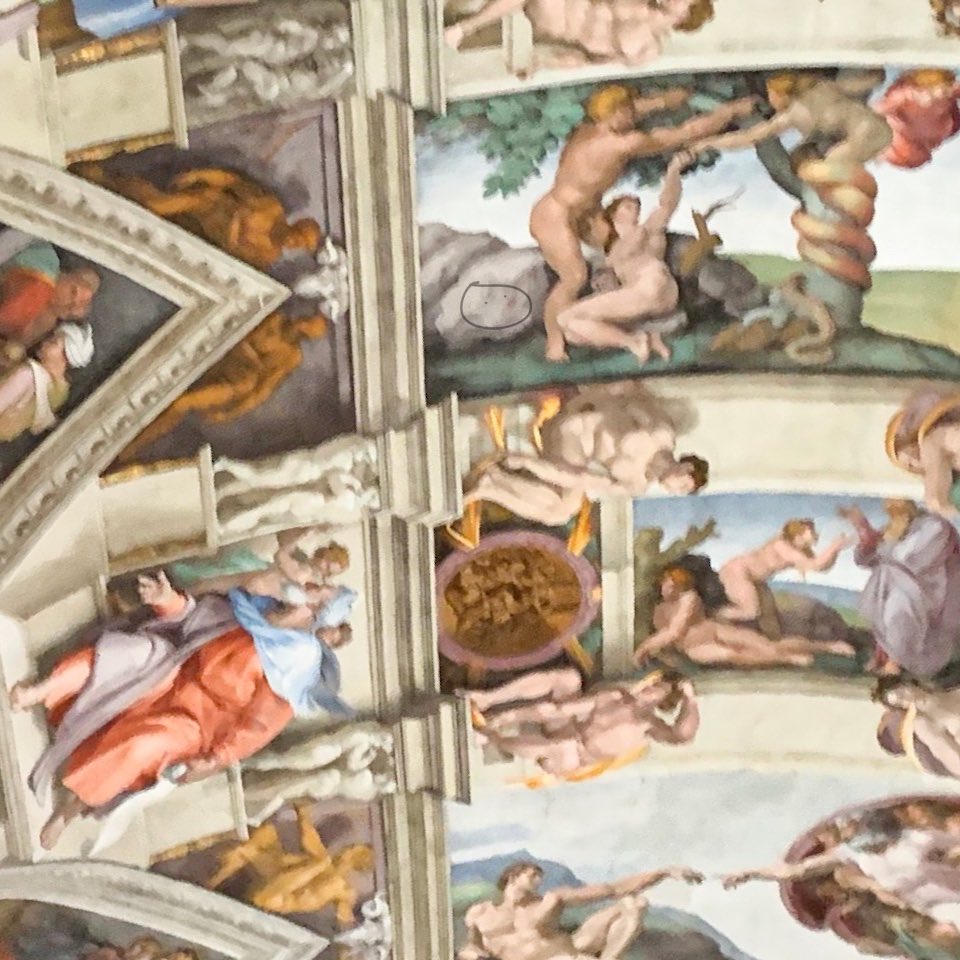 DigDegen's tweet photo. Michelangelo was inspired by Dudes that came before him and he even hid clues in much of his work. @thedudedudes https://t.co/YbHrnoh13H