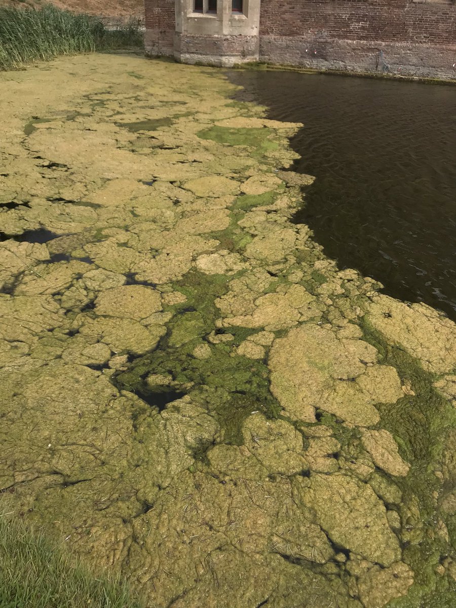 Feeling refreshed after a lovely week in Norfolk, the Ely Cathedral Stain glass museum was my favourite! CD