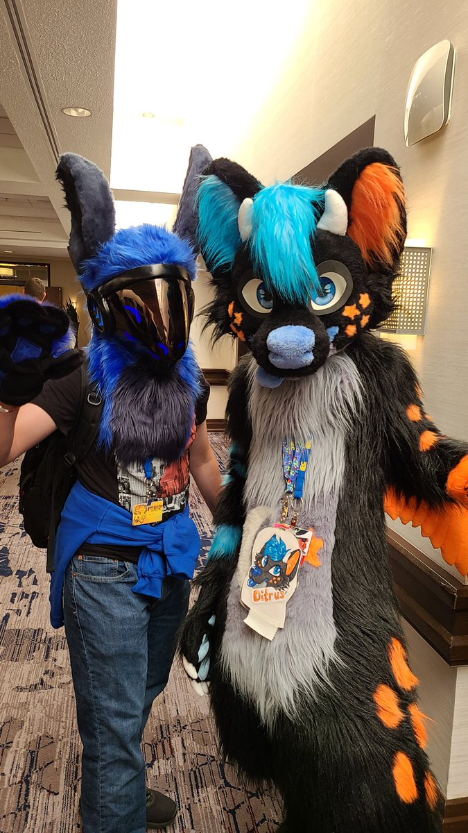Cattown7's tweet photo. The only other pictures I got at #indyfurcon2022 https://t.co/sv8kuaujTY
