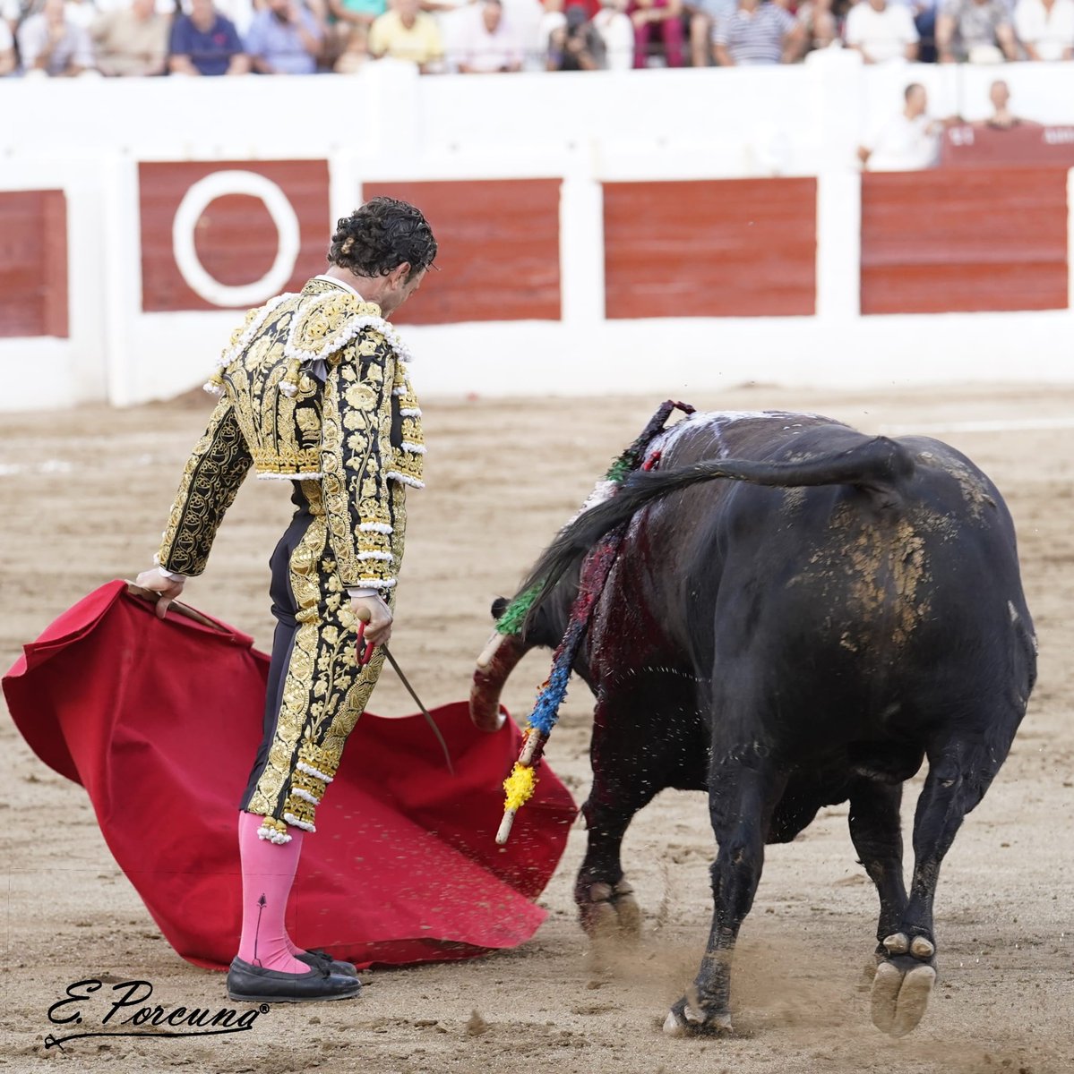 RRRafaelillo's tweet photo. 📍 LINARES
Gran faena y nueva OREJA para #Rafaelillo frente al cuarto ejemplar de la tarde, que lució el hierro de #Cuvillo. Tarde grande #Rafaelillo en su presentación en una plaza tan emblemática como #Linares.
📷 @EDUFOTOROS
#MaestroRafaelillo
#Temporada2022 https://t.co/az6IC6Lr2q
