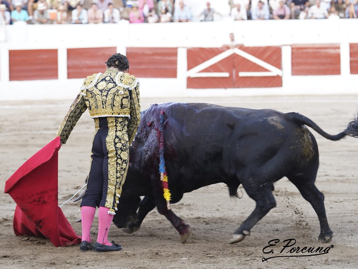 RRRafaelillo's tweet photo. 📍 LINARES
Gran faena y nueva OREJA para #Rafaelillo frente al cuarto ejemplar de la tarde, que lució el hierro de #Cuvillo. Tarde grande #Rafaelillo en su presentación en una plaza tan emblemática como #Linares.
📷 @EDUFOTOROS
#MaestroRafaelillo
#Temporada2022 https://t.co/az6IC6Lr2q