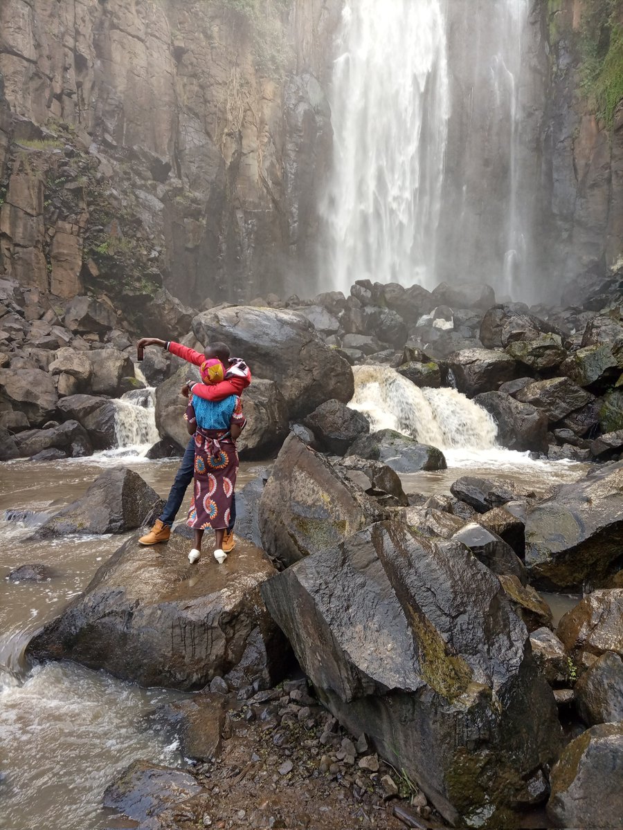 Timoshenko tweet media