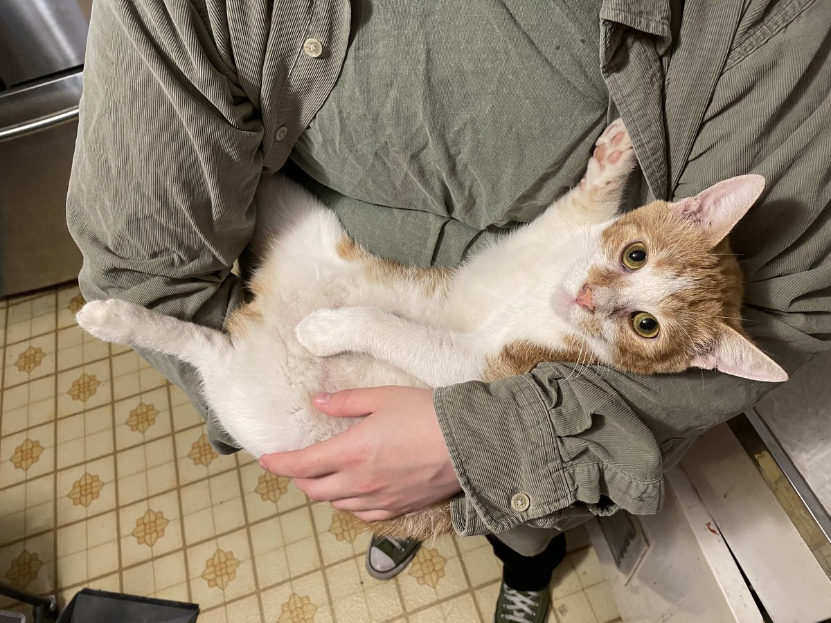 Stanley On Twitter Hi Twiter