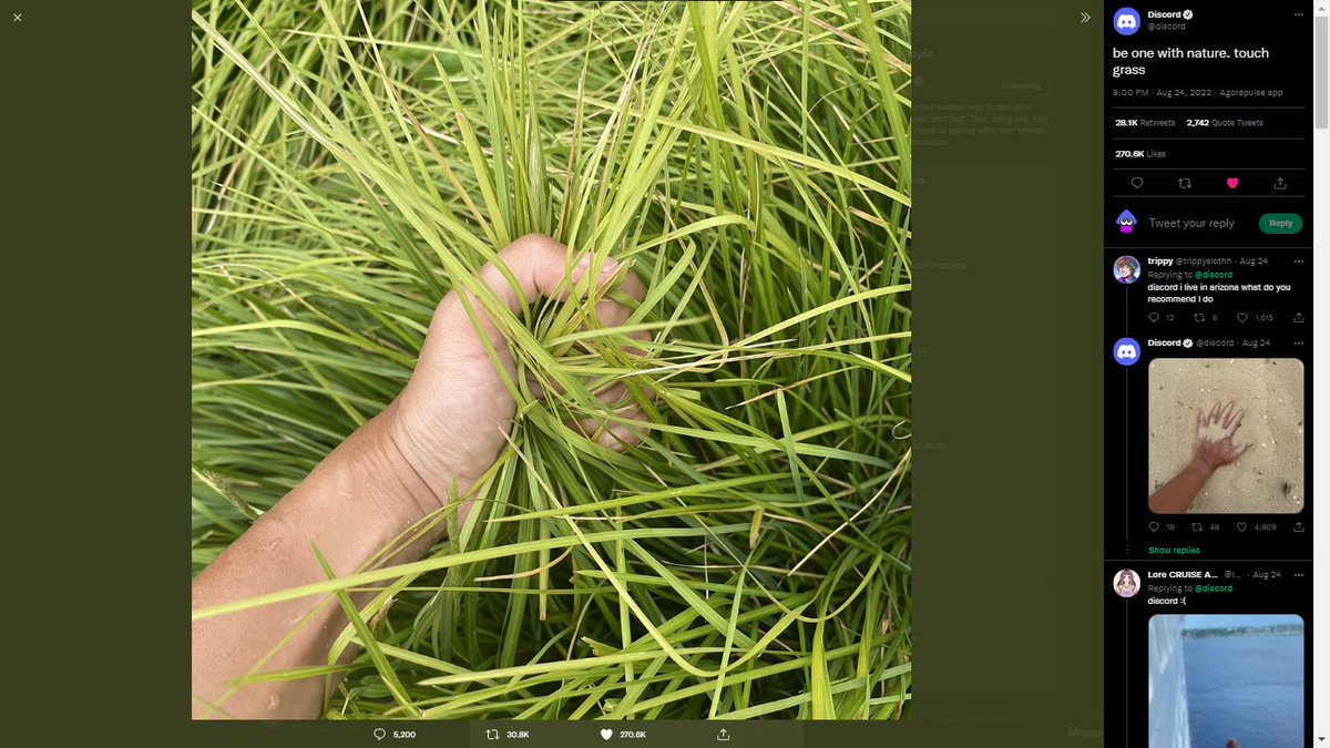 checkeredandre's tweet photo. Be one with nature, touch grass
Stay tuned for the next ones!
#art #openfeint https://t.co/vZkEGj2FX5