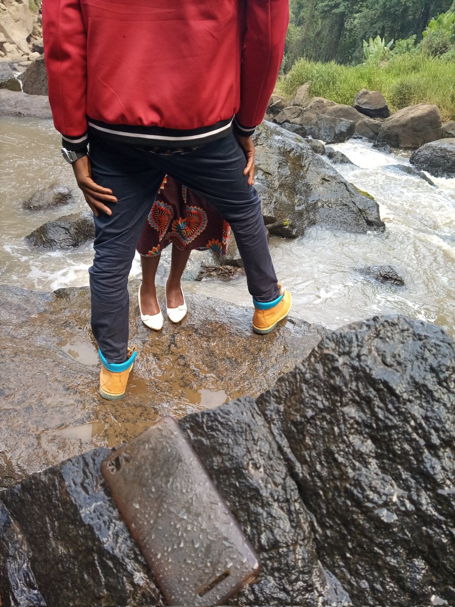 Timoshenko tweet media