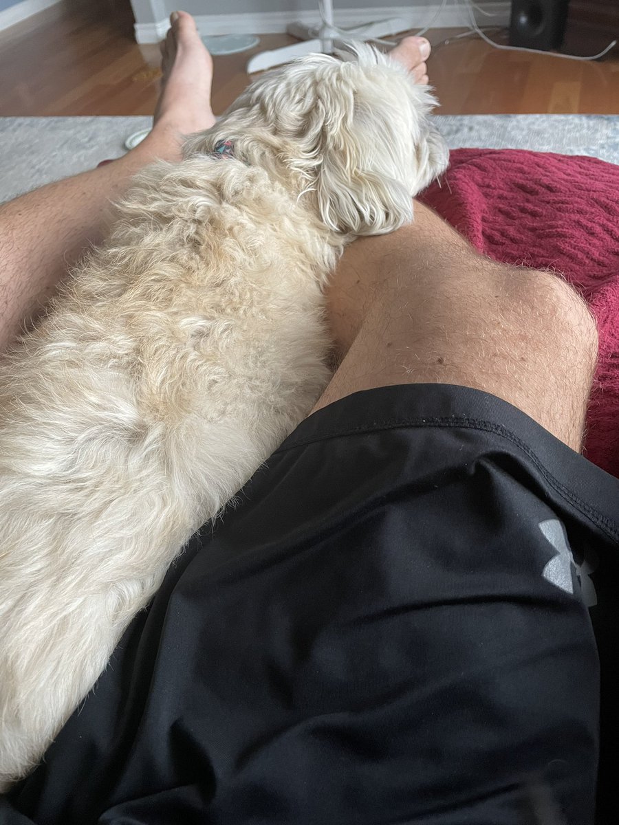 🇨🇦McShawner tweet media