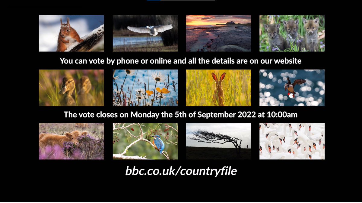 John Craven, Alison Steadman and @hamzayassin90 have chosen the top 12 photos for the 2023 Countryfile Calendar, in aid of @BBCCiN – now it’s over to you to vote for a winner. Vote + full T&Cs here: bbc.co.uk/countryfile  Voting closes at 10am, 5th September 2022