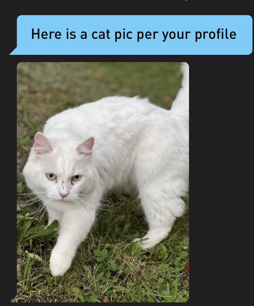 CatsofGrindr's tweet photo. https://t.co/7J08npoaLP