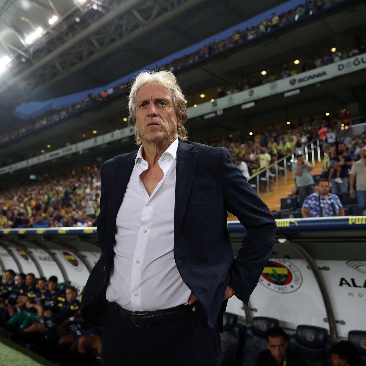 Limitless #Fener tweet media