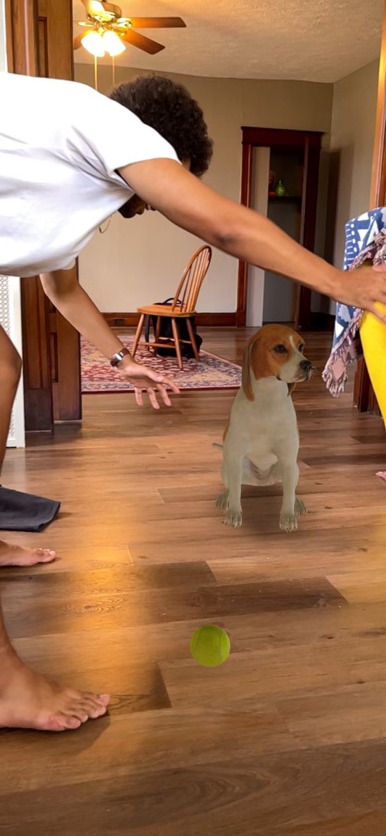 dombley's tweet photo. actively fantasizing about owning a beagle in AR to distract me from the growing climate crisis. what’s good with y’all ? https://t.co/oB6O7F7gXQ