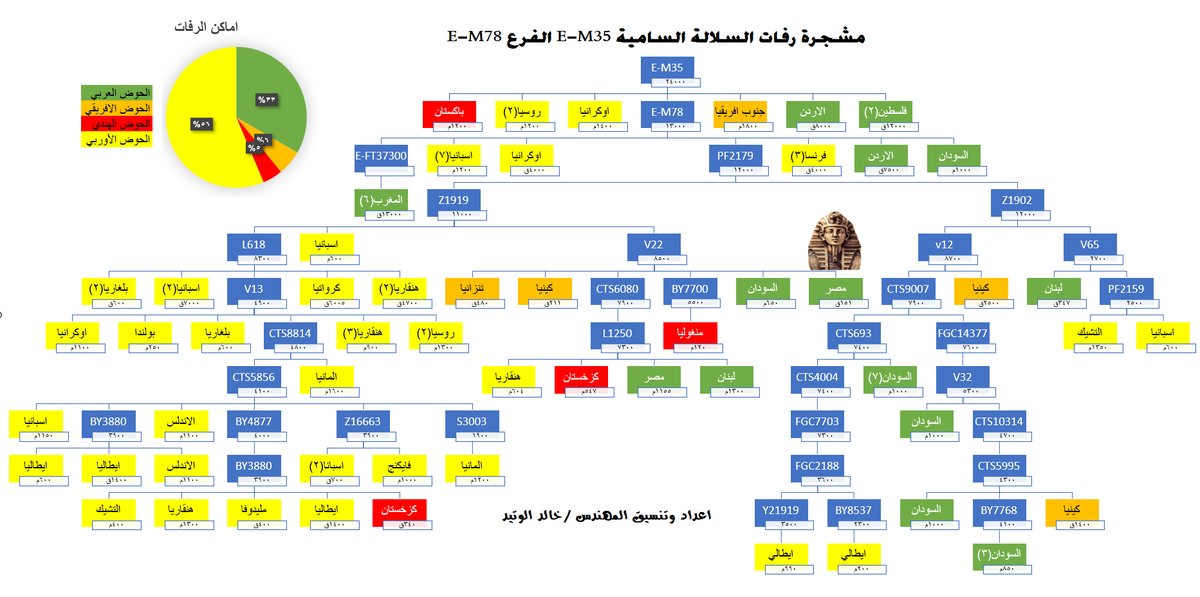 بسم الله والحمدلله والصلاة والسلام على رسول الله
بعد ملاحظات الاخوة الكرام تم تعديل المشجرة كما يلي:
1- وضع بجانب كل رفات عدد الرفات
2- وضع حرف ق يعني قبل الميلاد و(م) يعني ميلادي
3-وضع تافوغالت بتحور مستقل تحت E-M78
4- كتابة بقية التواريخ اسفل العينات
منكم اخوتي نستفيد ونرتقي🌹