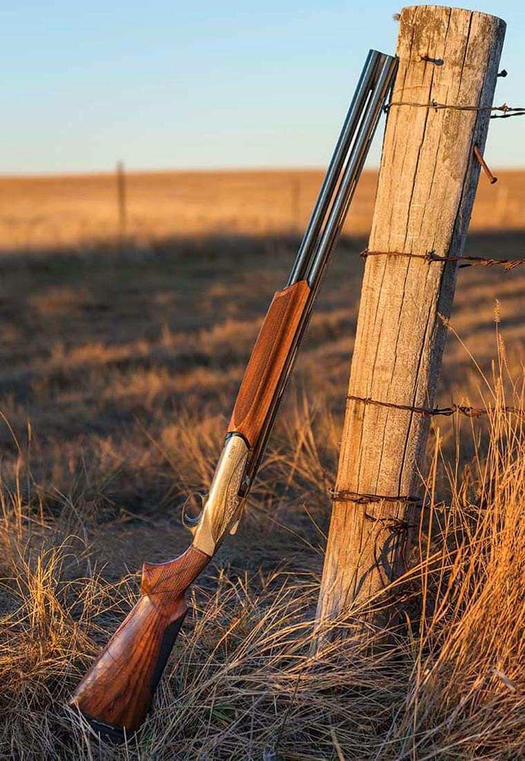 Rockymtnx's tweet photo. Happy 8-28 day! August 28th is #828Day.
Any other Benelli 828U ahooters here?
@BenelliCanada #Benelli828U #DominateTheField #SafeQueen https://t.co/HkC15wqpVo