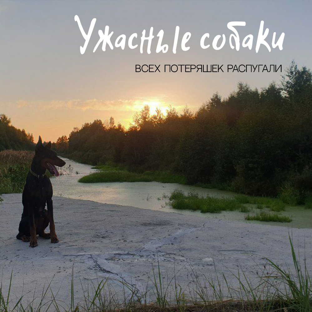 "Не напугает ли собака потеряшку?" 😶

Напугает 👌 Подробнее по ссылке telegra.ph/Uzhasnye-sobak…

И да, там многабукав, извините 🤷🏻‍♀️