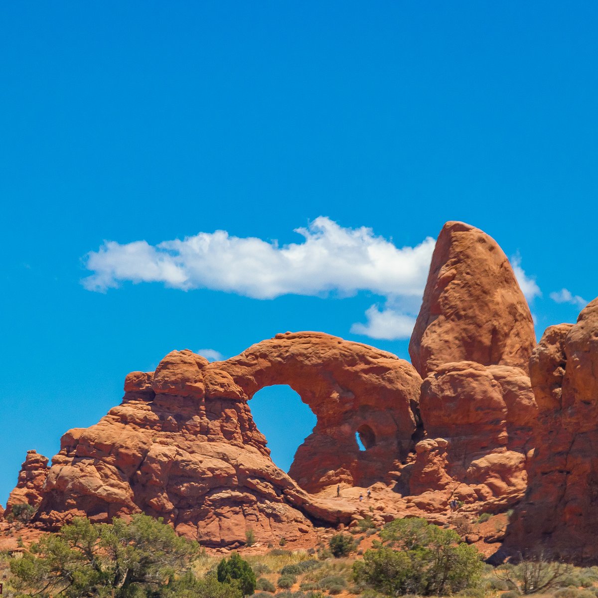 KelseyPluskat's tweet photo. A window into a wild western world!
#archesnationalpark #arches #arch #geology #geologyrocks #utahrocks #utah #utahroadtrip #utahtourism #canyonlands #sexyarches #hiking #hikingadventures #hikingoutfit #hikingculture #explore #exploreyourworld #getoutthere #rocks
#turretarch https://t.co/YOvPTufjS7