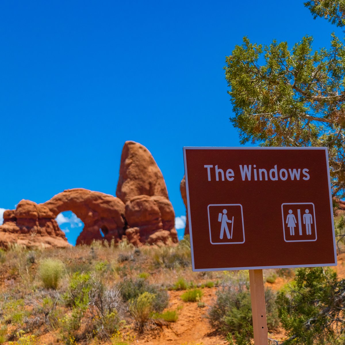 KelseyPluskat's tweet photo. A window into a wild western world!
#archesnationalpark #arches #arch #geology #geologyrocks #utahrocks #utah #utahroadtrip #utahtourism #canyonlands #sexyarches #hiking #hikingadventures #hikingoutfit #hikingculture #explore #exploreyourworld #getoutthere #rocks
#turretarch https://t.co/YOvPTufjS7