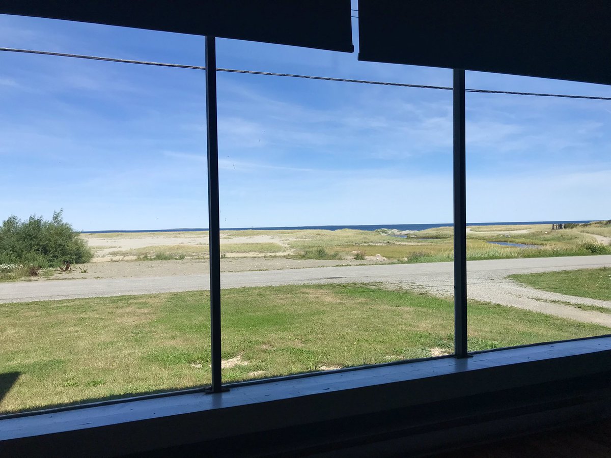 Lisa Gushue tweet media