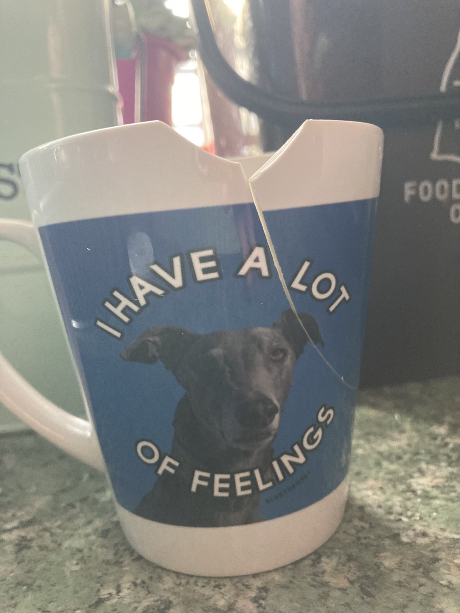 PatByrned's tweet photo. Missus broke my mug. The irony of the message on it 😂 @BluetheGreyt #bluethegrey https://t.co/Hdae50WOIA