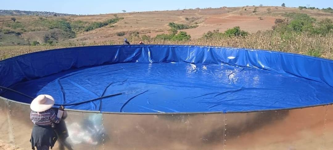 BashumiTanks's tweet photo. Irrigation dams available 081 8241 292 info@Bashumicc.co.za #SAMA28 #djzinhle #KaizerChiefs #agriculture #zinc dams https://t.co/3dKIPrGj0b