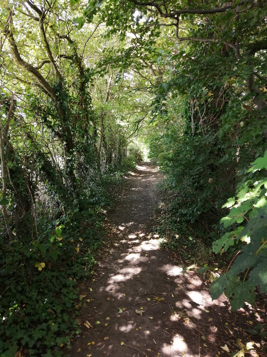 💙🌼✨#Hellomynameis Jo✨🌼 😷💙💜💚 tweet media