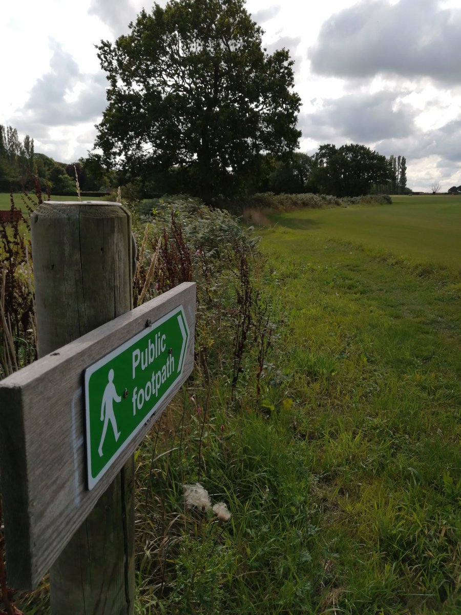 💙🌼✨#Hellomynameis Jo✨🌼 😷💙💜💚 tweet media