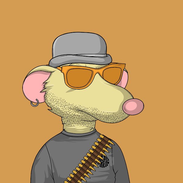 MadStonedMonkey's tweet photo. @azjacktripper @Web3_n @ImJoshuaSI #RecklessRat I love it.
You are a sexy rat. @fatratmafia https://t.co/dJPMlLrkAE