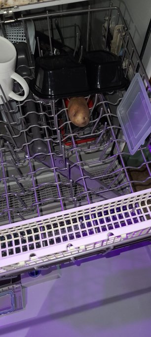Bless my heart. I ran a potato through a dishwasher cycle. https://t.co/4ZD5PowB54<a href="/tag/mytwitteranniversary"class="tags"><span>#mytwitteranniversary</span></a>