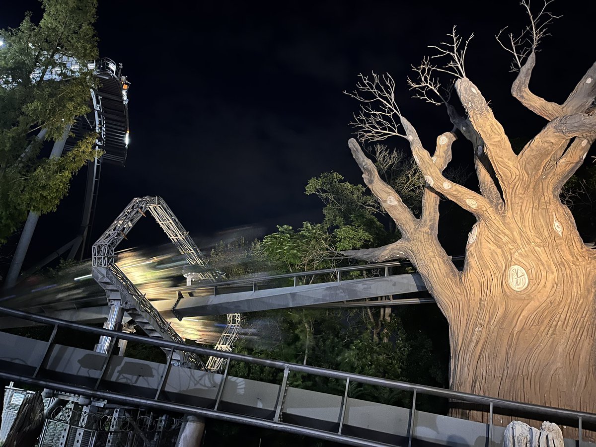 DeanGaryCox's tweet photo. Raptor at night was awesome! https://t.co/Ns9WTJ72TD