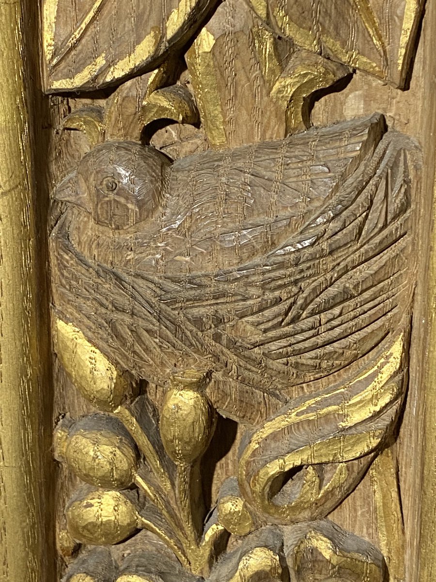 Megthelibraria1's tweet photo. Bird on the nest #Pinwill #Postbridge St Gabriel https://t.co/pSFOOfwnkX