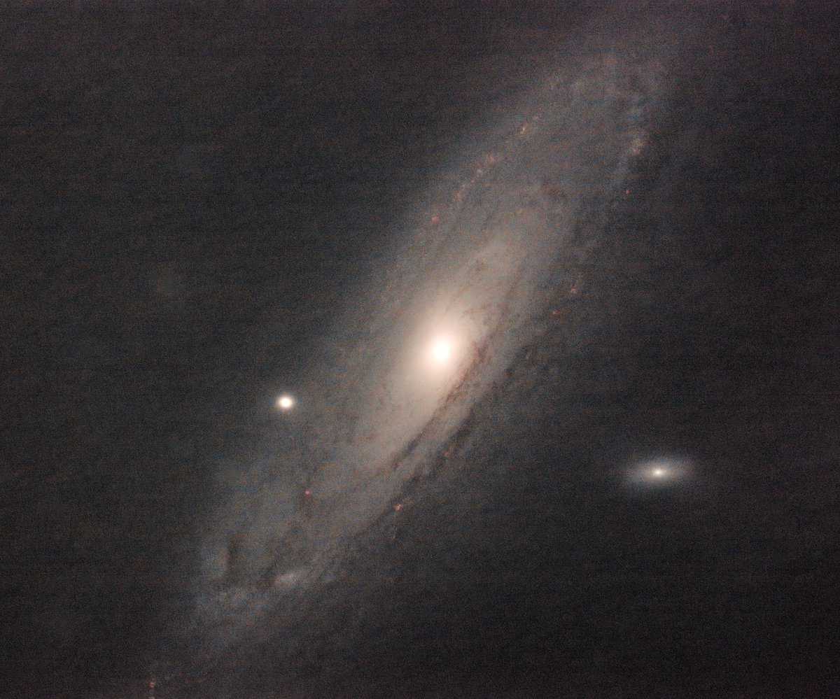 nunux1971's tweet photo. #Astrophotography #astrophoto
M31 en version starless
#ZWO #IOPTRON #TSOPTICS #siril #darktable https://t.co/8qEiYlntxR