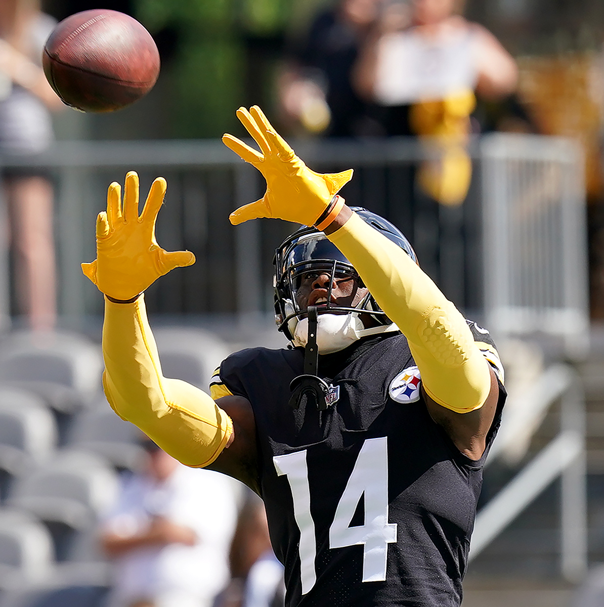 Matt Freed tweet media