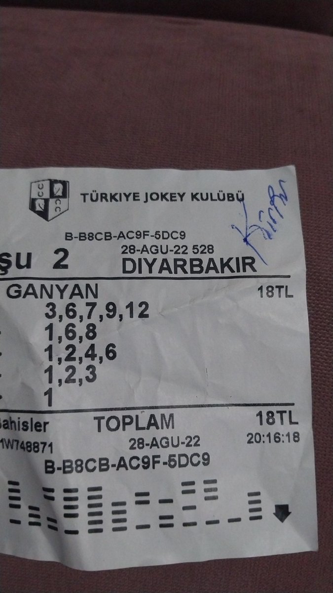 Olacak  Birgül insl