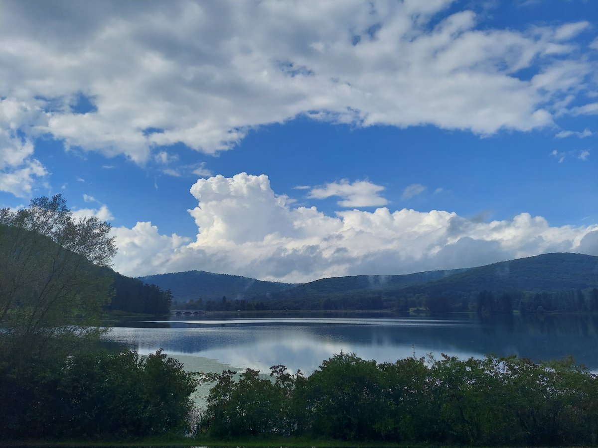 ScarletJedi5's tweet photo. Pictures from Allegany state park camping trip . (No I have more pictures these are just a few xD) https://t.co/48tF3e8Eto