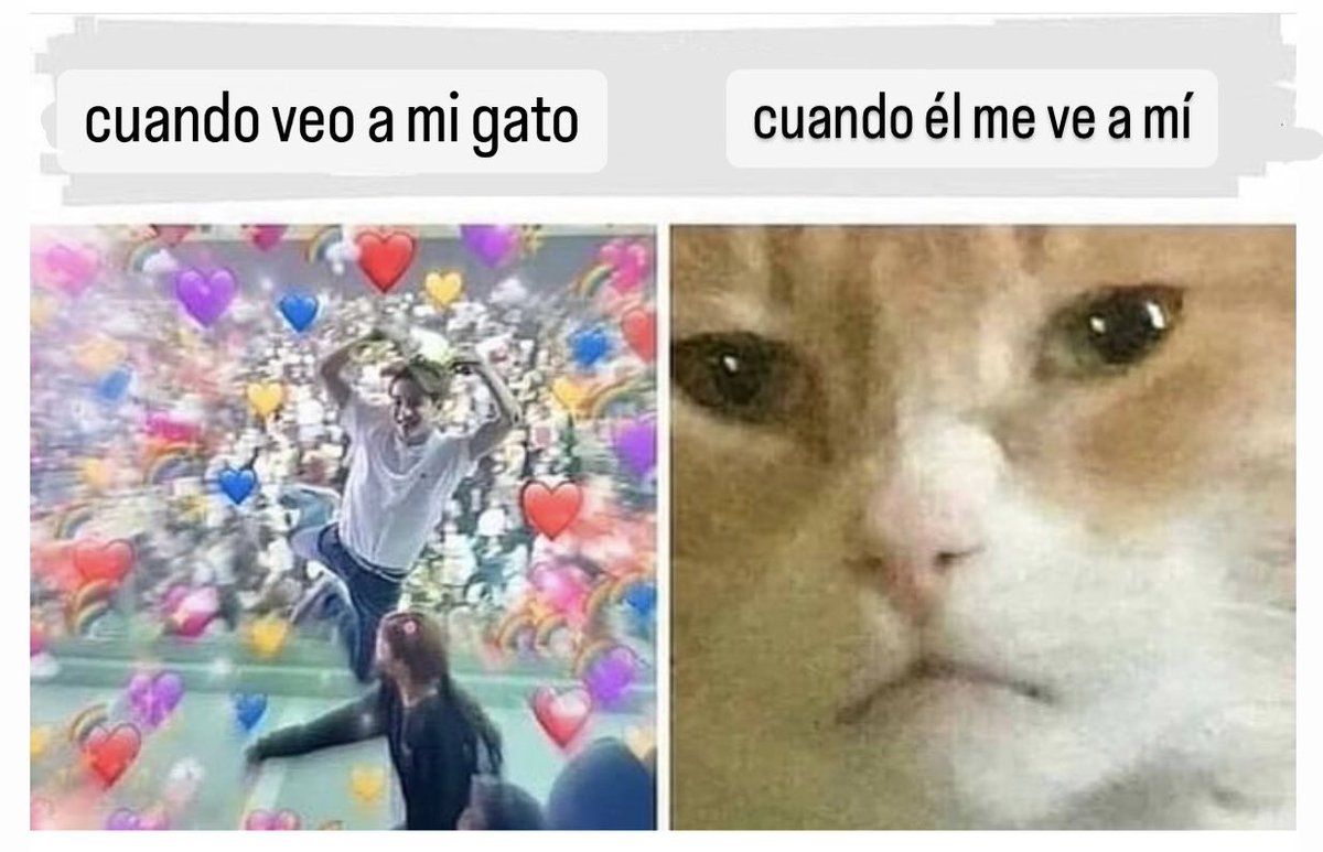 yisucrist's tweet photo. x favor ámame https://t.co/rZ18dvO3pw