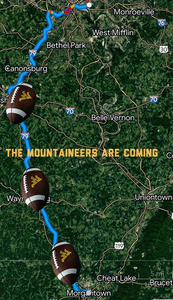 TAMWVU's tweet photo. Let's go Mountaineers 💛 💙 https://t.co/iZZY2Ughi1