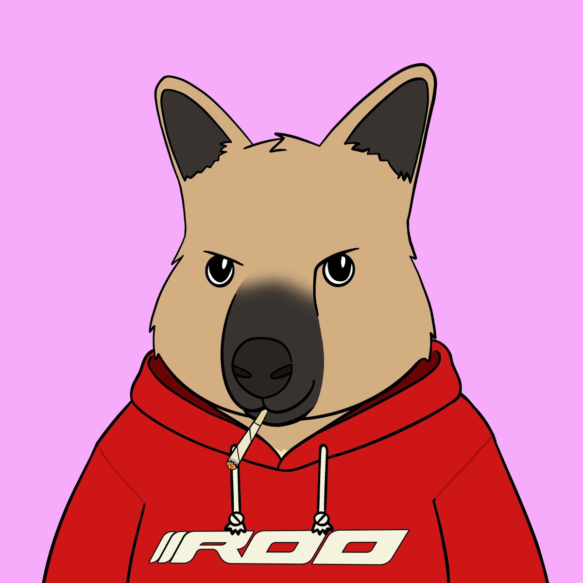 localcryptogod - Westie🦁 tweet media