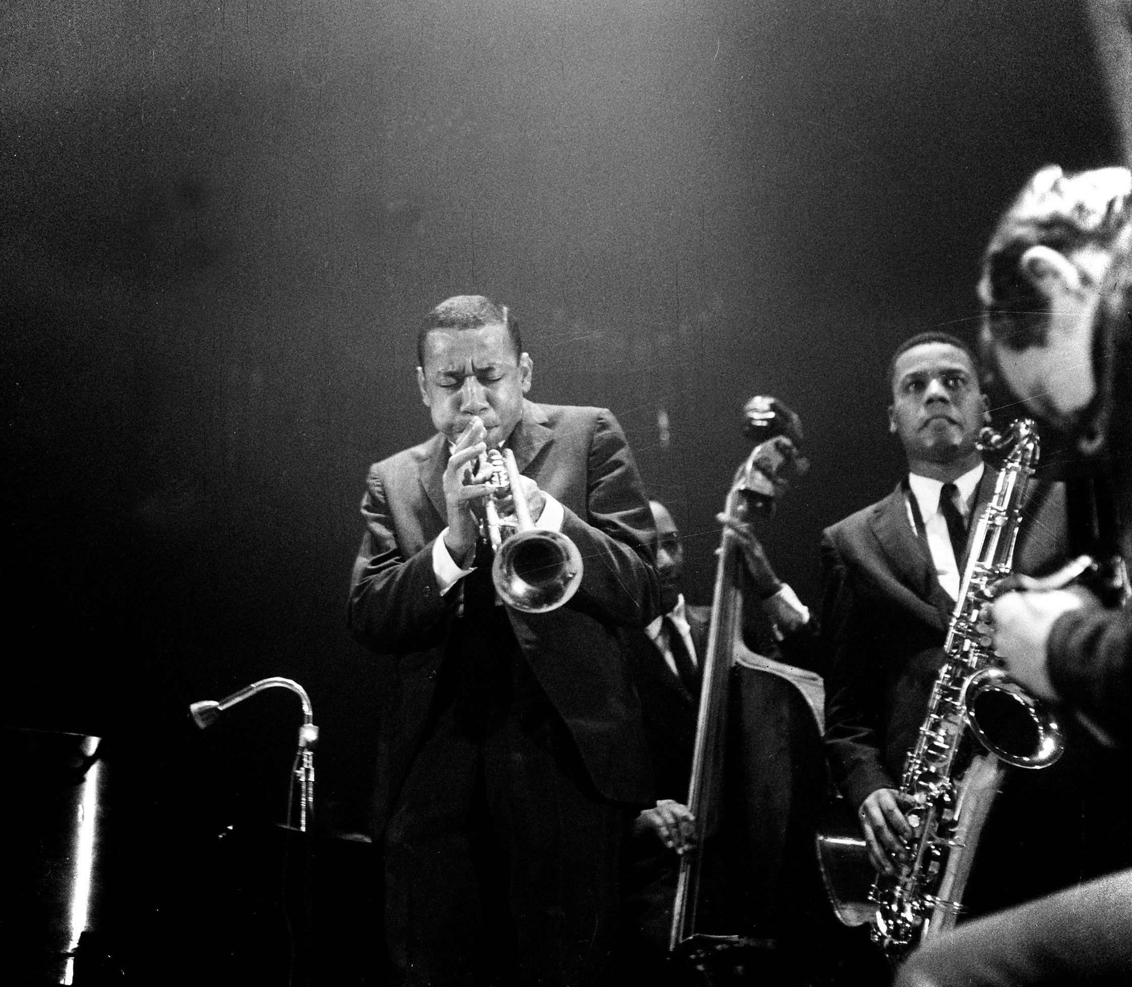 Salad Jazz Saladjazz1 Twitter